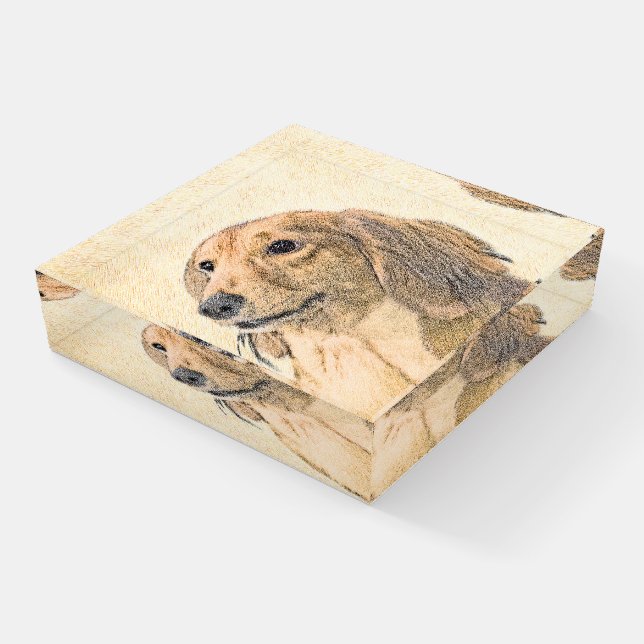 Dachshund (Longhaired) Painting - Original Dog Art Paperweight (Angled)