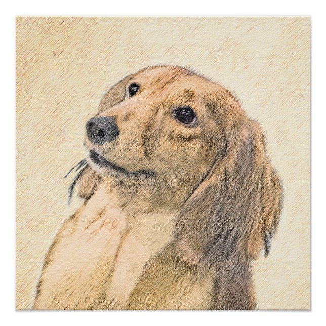 Dachshund (Longhaired) Painting - Original Dog Art Poster (Front)