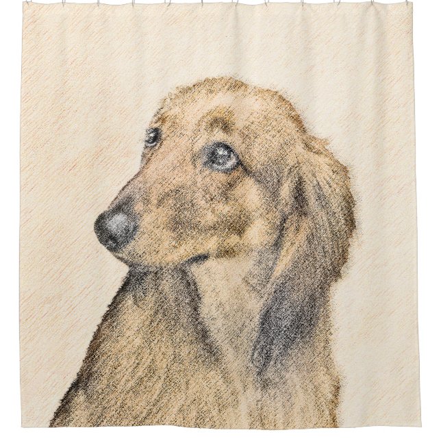 Dachshund (Longhaired) Painting - Original Dog Art Shower Curtain (Front)