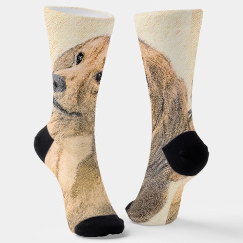 Dachshund Longhaired Painting _ Original Dog Art Socks