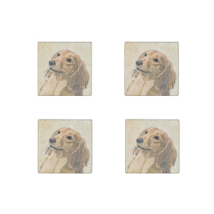 Dachshund (Longhaired) Painting - Original Dog Art Stone Magnet