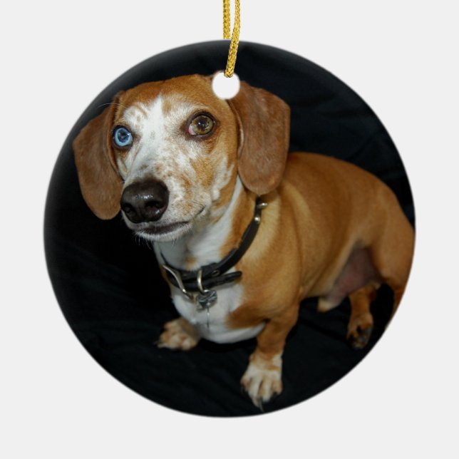 Dachshund Love Ceramic Ornament (Front)