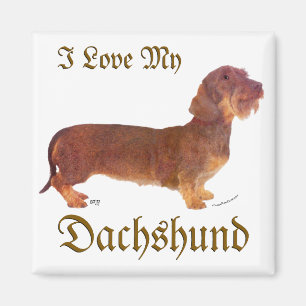 Dachshund Love Magnet