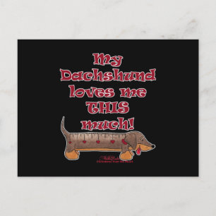 Dachshund Love Meter Postcard