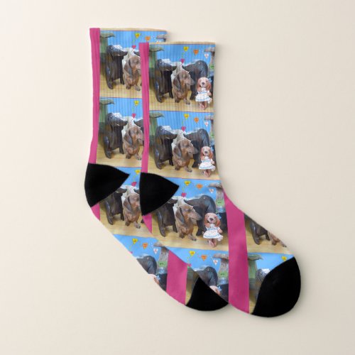 Dachshund Love Socks