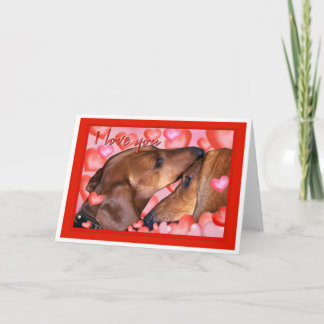 Dachshund Love - Valentines Day Holiday Card