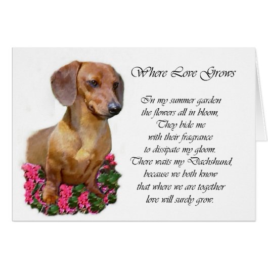 Dachshund Lovers Gifts (Front Horizontal)