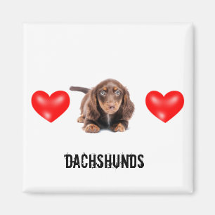 Dachshund Magnet