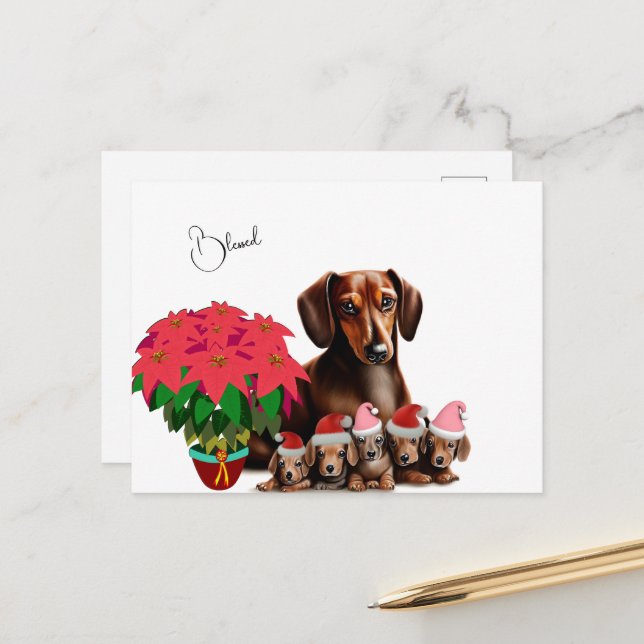 Dachshund Mama and puppies Christmas Postcard (Front/Back In Situ)