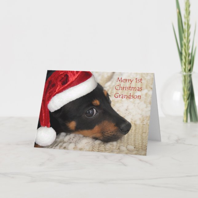 Dachshund Merry 1st Christmas Grandson Holiday Card (Front)