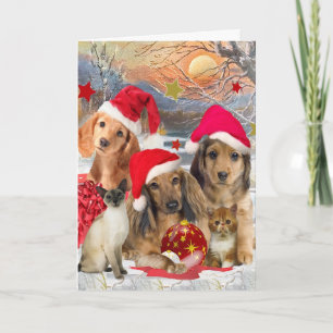 Dachshund Merry Christmas Cards