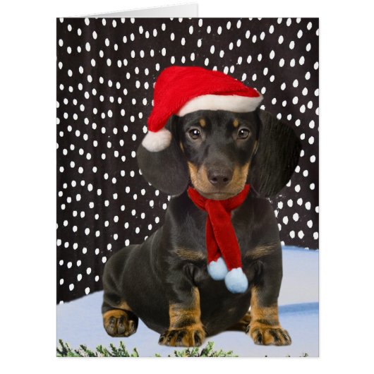 Dachshund Merry Christmas Cards (Front)