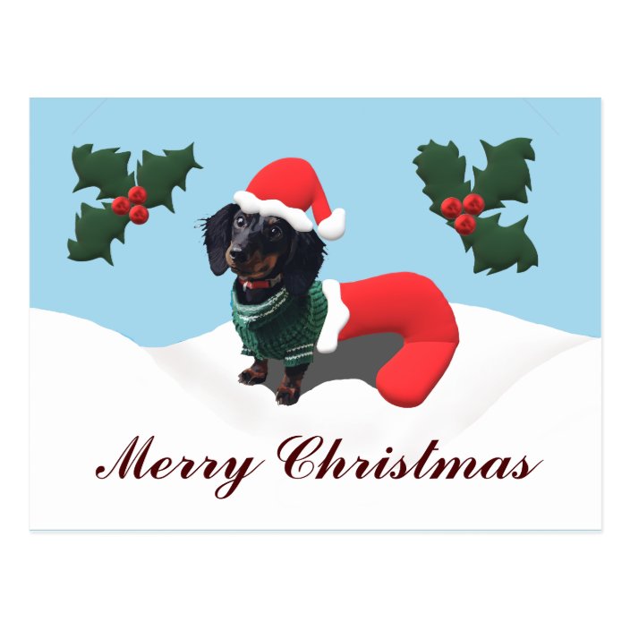 Dachshund Merry Christmas Postcard 