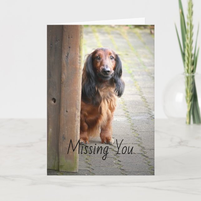 Dachshund Missing You Greeting Card (Front)