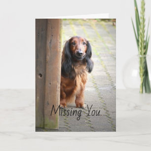 Dachshund Missing You Greeting Card