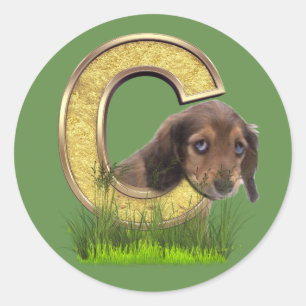 Dachshund-Monogram, capital, letter C Classic Round Sticker