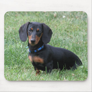 Dachshund Mouse Pad
