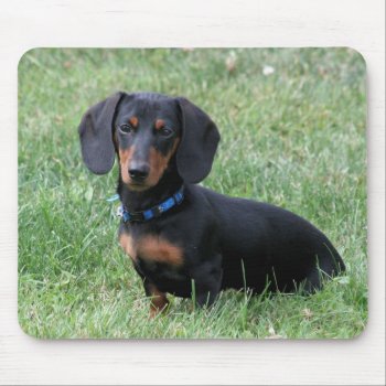 Dachshund Mouse Pad by sharpcreations at Zazzle