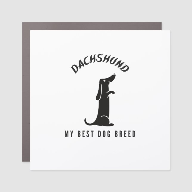 Dachshund my best dog breed car magnet (Front)