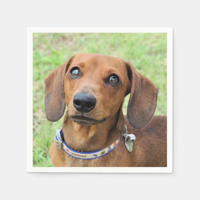Dachshund Napkins (Front)