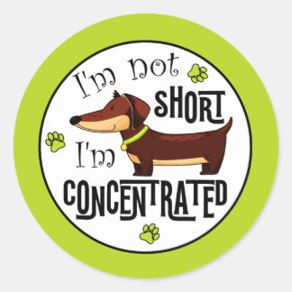 Dachshund Not Short I'm Concentrated  Classic Round Sticker