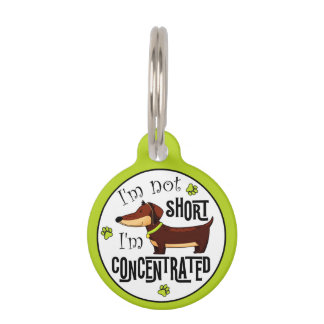Dachshund Not Short I'm Concentrated  Pet ID Tag