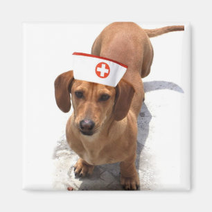 Dachshund nurse magnet