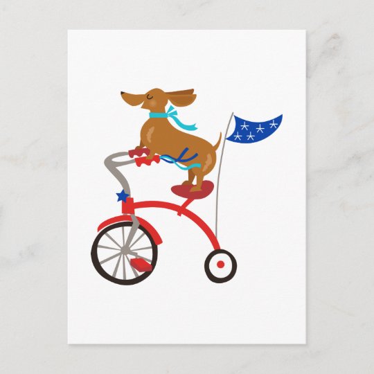Dachshund On Bike Postcard Zazzle