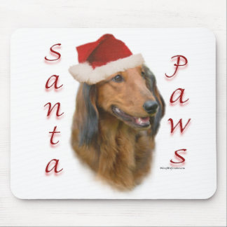 Dachshund Paws - Longhair Mouse Pad