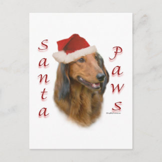 Dachshund Paws - Longhair Postcard