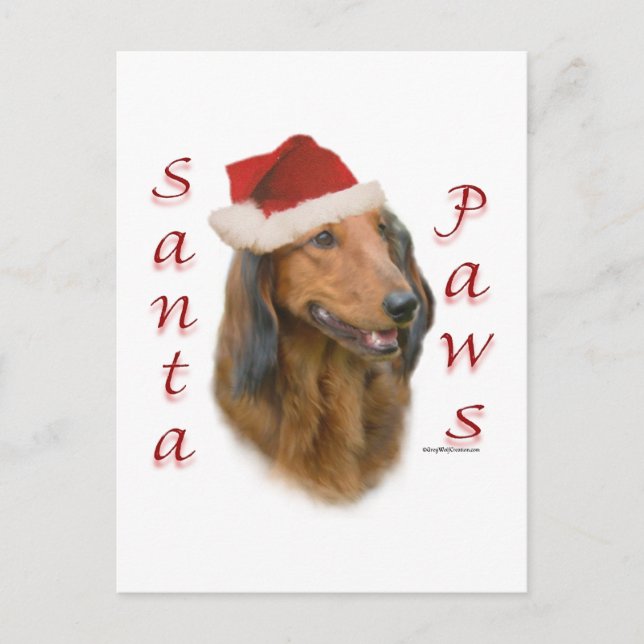 Dachshund Paws - Longhair Postcard (Front)