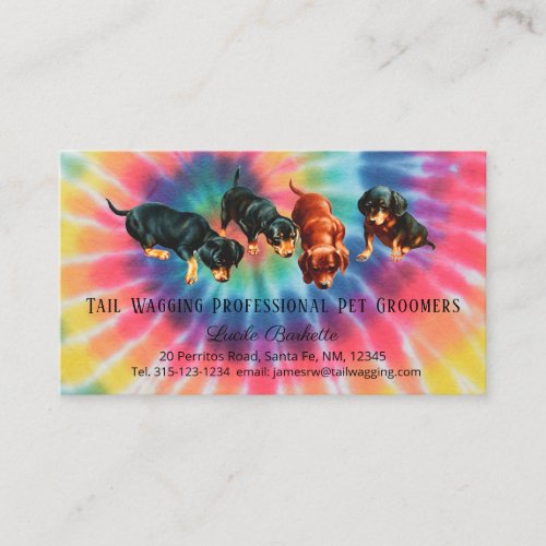 Dachshund Pet Grooming Tie Dyed Rainbow Pride Business Card