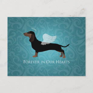 Dachshund - Pet Loss Memorial Design Postcard