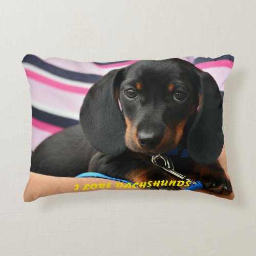 Dachshund Picture Pillow