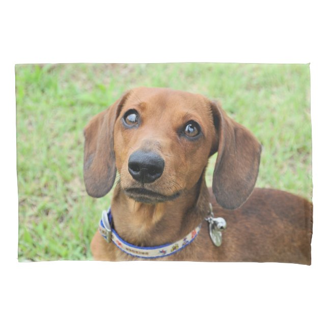 Dachshund Pillow Case (Front)