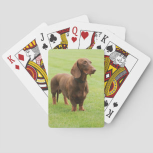 Dachshund Poker Cards