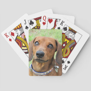 Dachshund Poker Cards