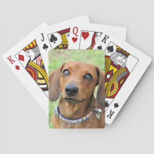 Dachshund Poker Cards