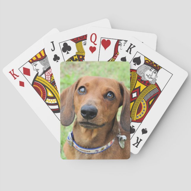 Dachshund Poker Cards (Back)