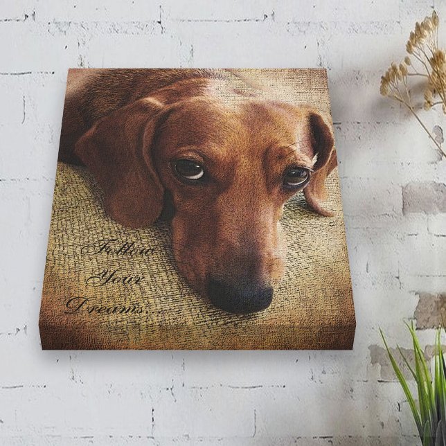 Dachshund Portrait Canvas Wrap (Creator Uploaded)
