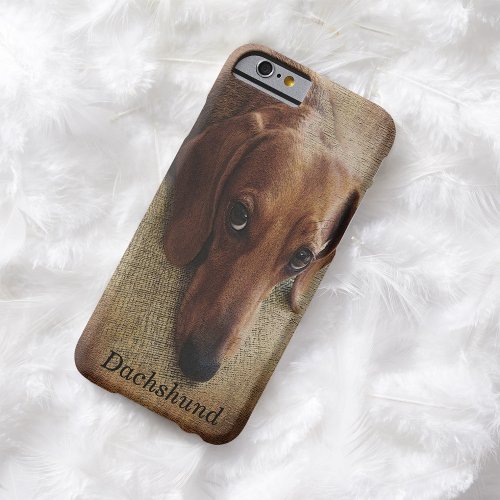 Dachshund Portrait iPhone 6 case