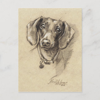 Dachshund portrait postcard