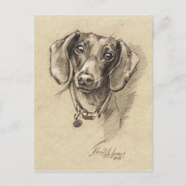 Dachshund portrait postcard (Front)