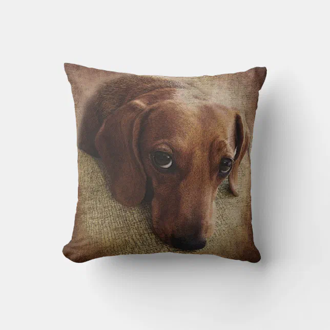 Dachshund Portrait Throw Pillow Zazzle