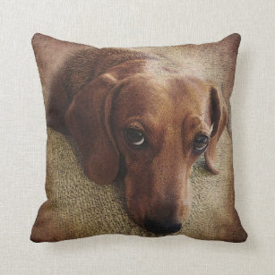 dachshund throw pillows