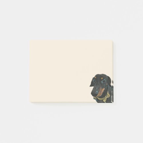 Dachshund post_it Notes