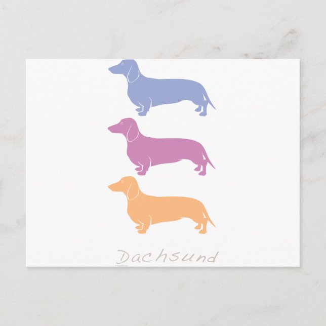 Dachshund Postcard (Front)