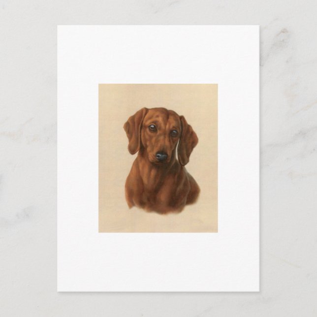 Dachshund Postcard (Front)
