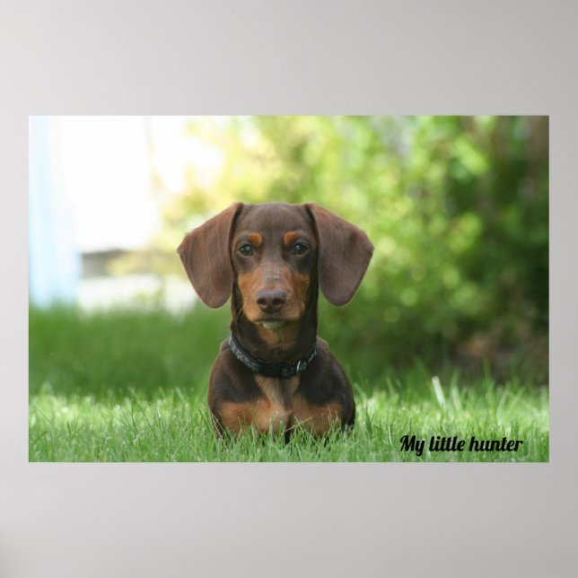 Dachshund Poster (Front)