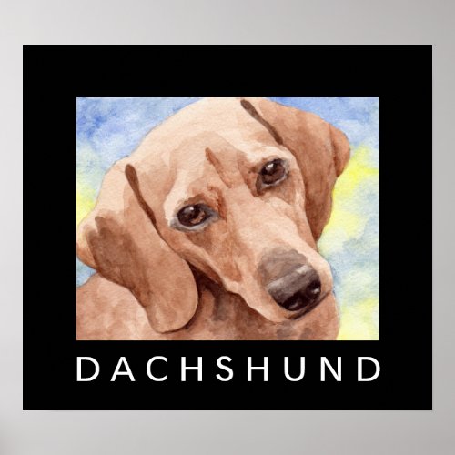 Dachshund Poster